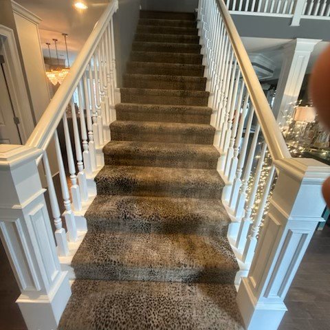 Stanton King Cheetah carpet in Wildroot