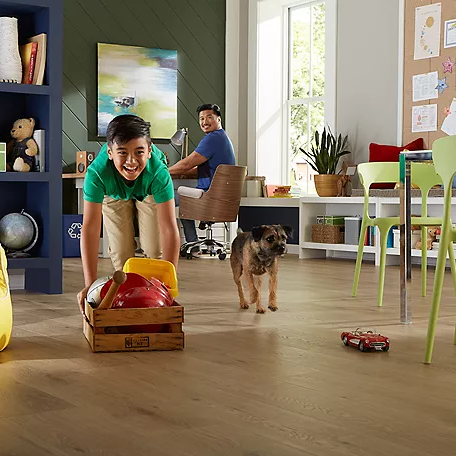 Safeguarding Floors from Pets: Tips and Tricks
