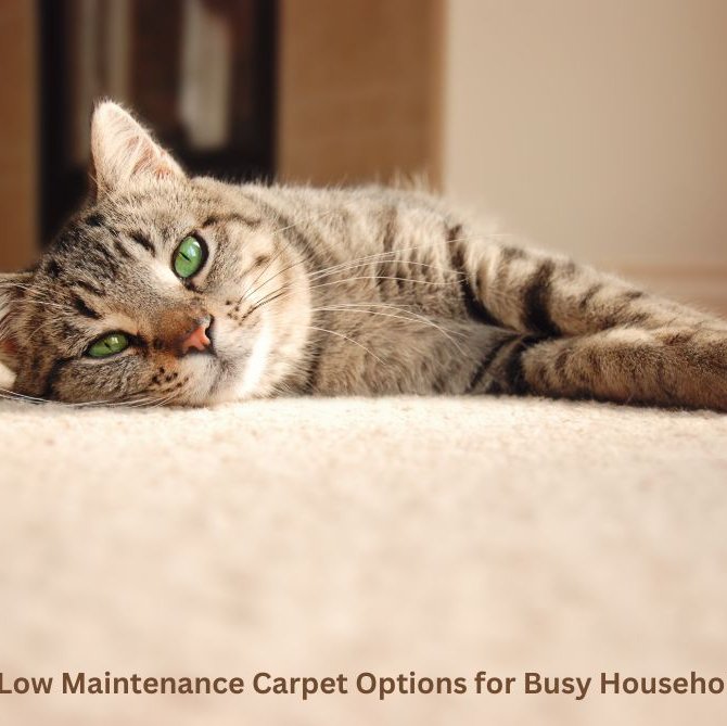 Low Maintenance Carpet Options for Busy Households