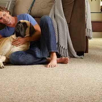 Carpet Inspiration