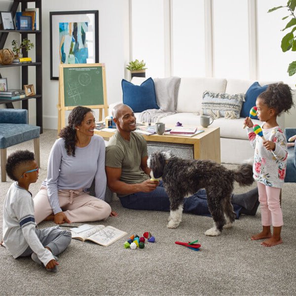 A Room-by-Room Guide to Pet-Friendly Flooring